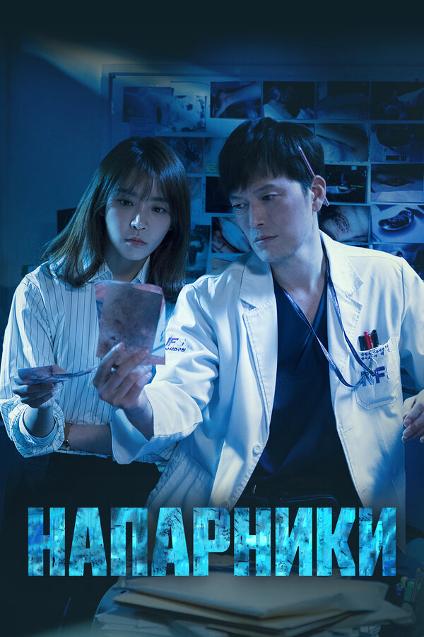 Напарники - постер